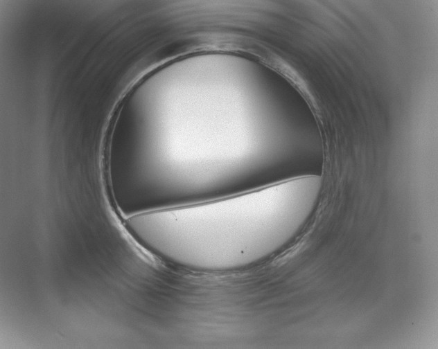 X0000073890803200608110908