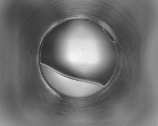 X0000073890805200608110908