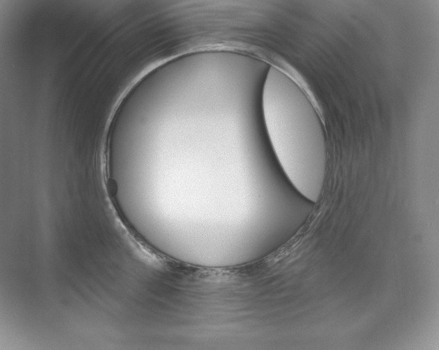 X0000073890811200608110908