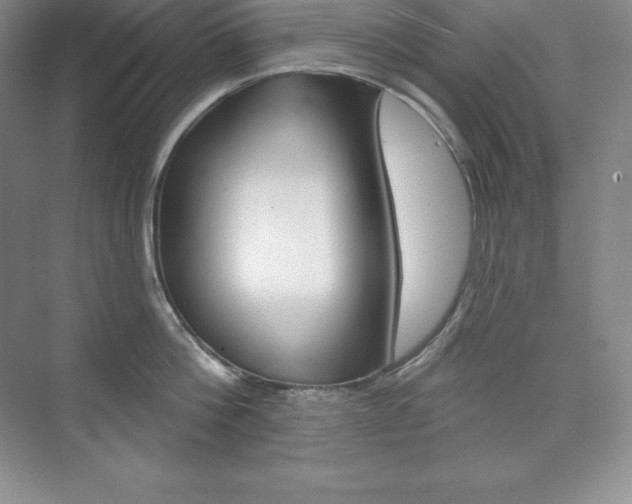X0000073890812200608110908