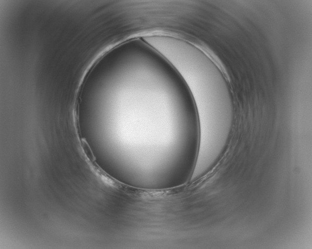X0000073890813200608110908