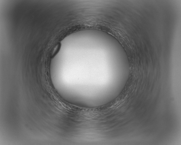 X0000073890817200608110907
