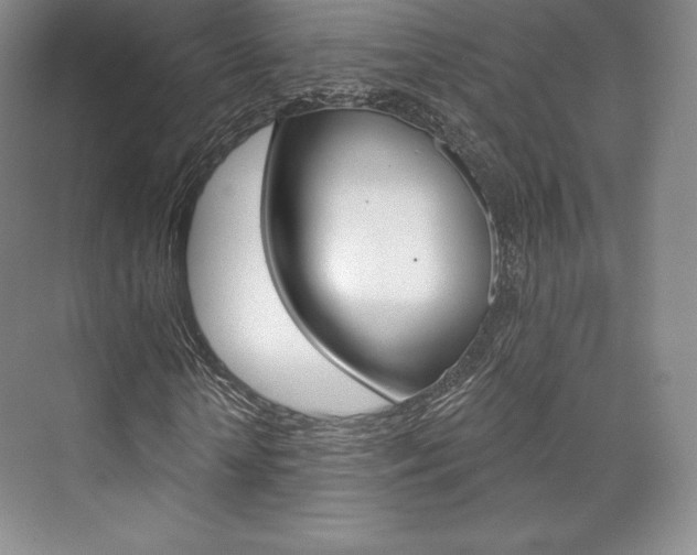 X0000073890818200608110907