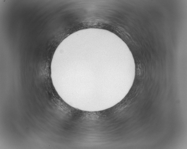 X0000073890820200608110907