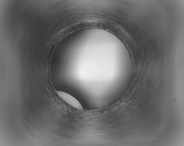 X0000073890821200608110907