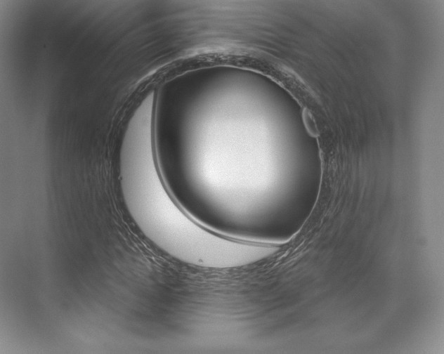 X0000073890822200608110907