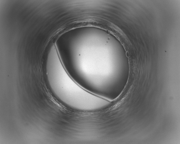 X0000073890826200608110907