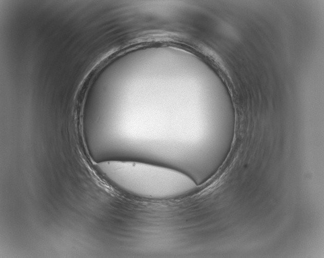 X0000073890827200608110907