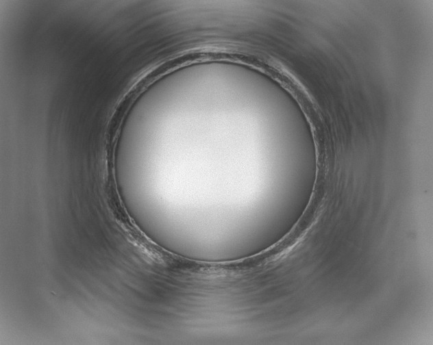 X0000073890829200608110907