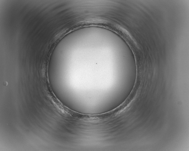 X0000073890833200608110907