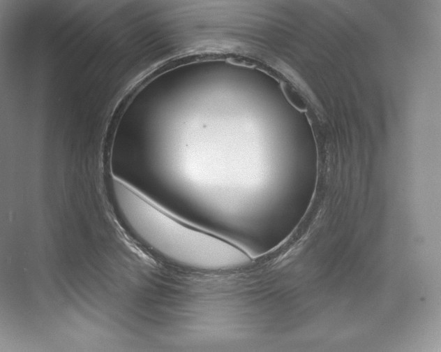 X0000073890834200608110907