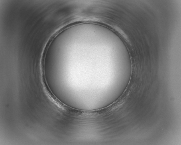 X0000073890840200608110907