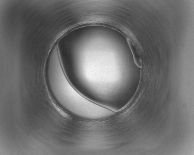 X0000073890842200608110907