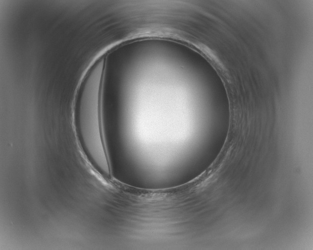 X0000073890846200608110908