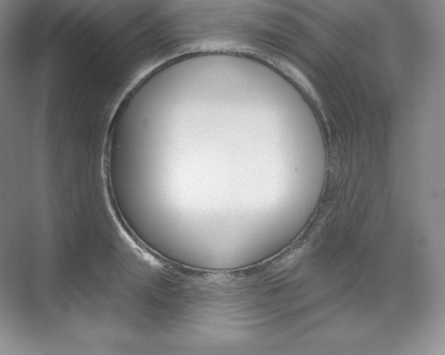 X0000073890847200608110908