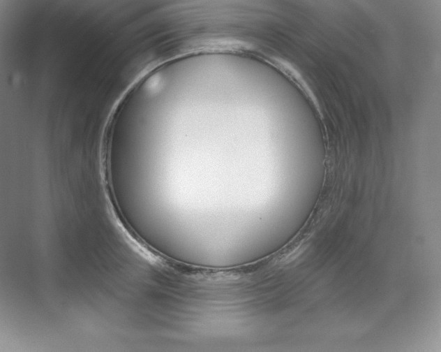 X0000073890851200608110908