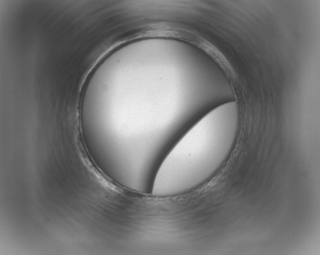X0000073890852200608110908