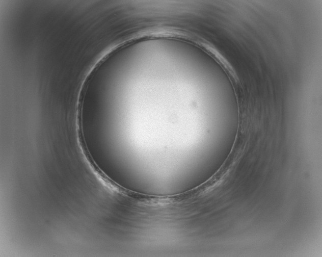 X0000073890853200608110908