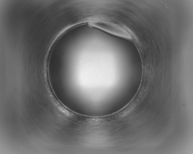 X0000073890854200608110908