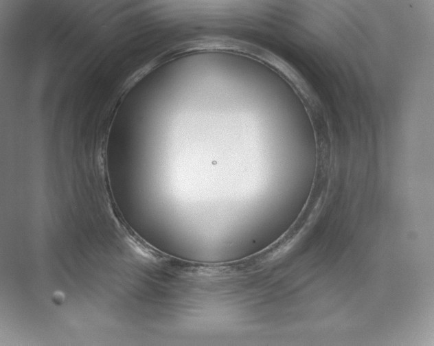 X0000073890857200608110908