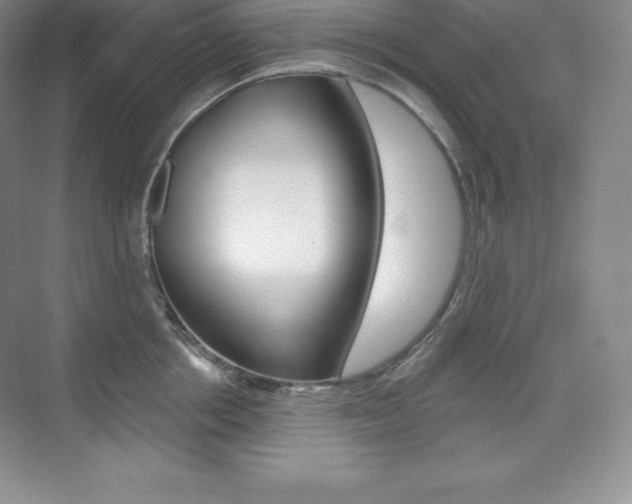 X0000073890858200608110908
