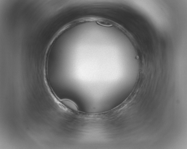 X0000073890861200608110908