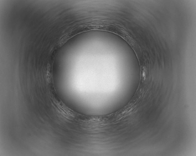 X0000073890867200608110907