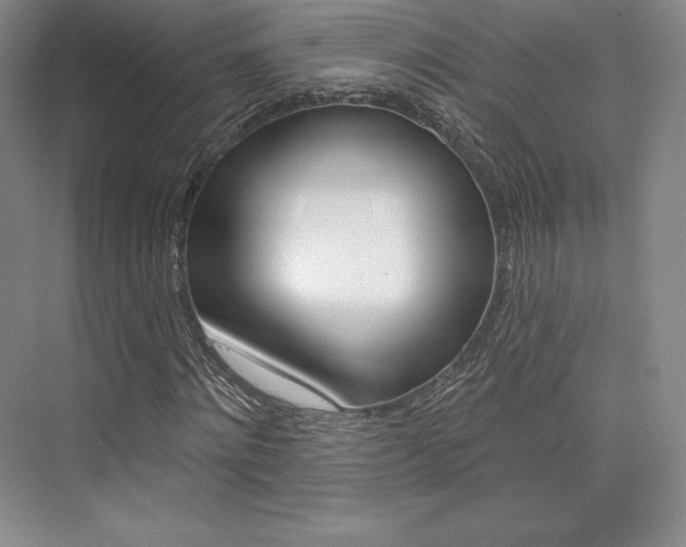 X0000073890868200608110907
