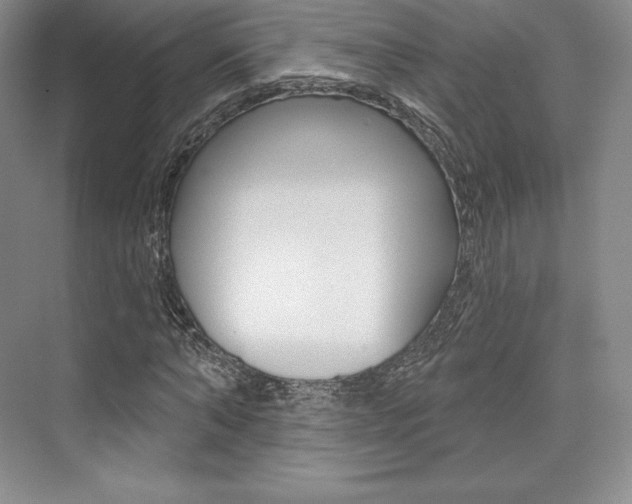 X0000073890870200608110907