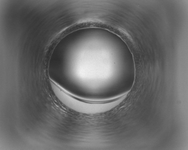 X0000073890872200608110907