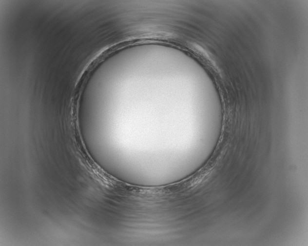 X0000073890875200608110907
