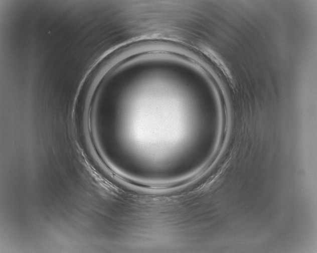 X0000073890876200608110907