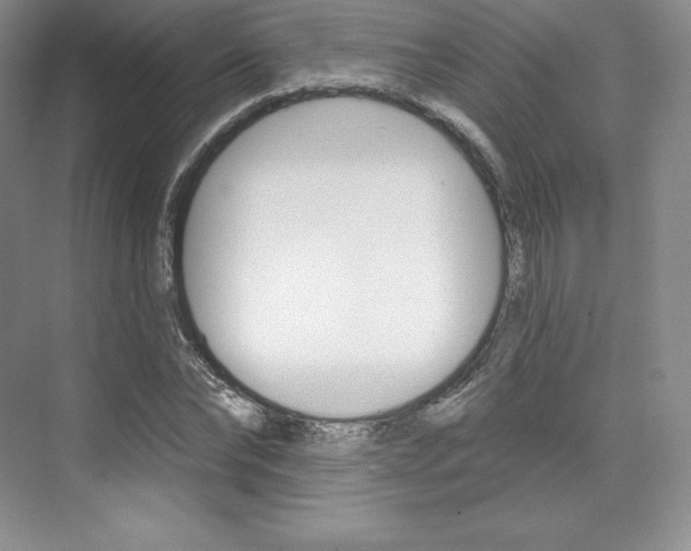 X0000073890878200608110907