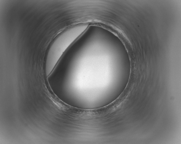 X0000073890881200608110907