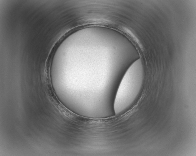 X0000073890883200608110907