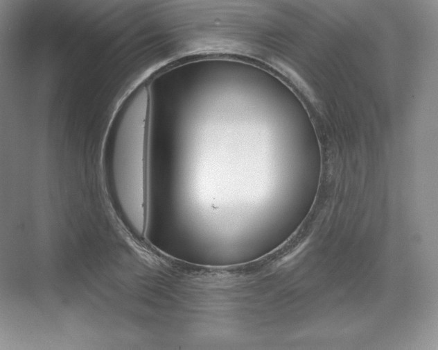 X0000073890885200608110907