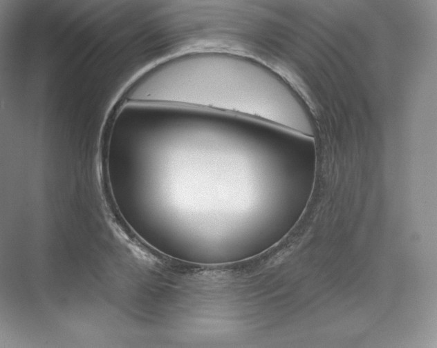 X0000073890888200608110907