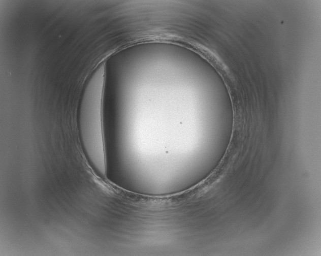X0000073890889200608110907