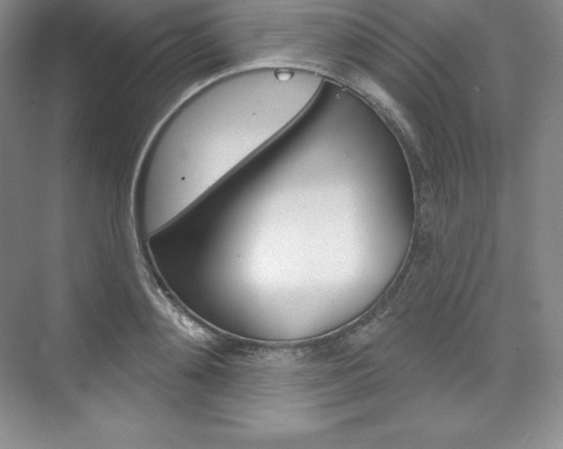 X0000073890892200608110907