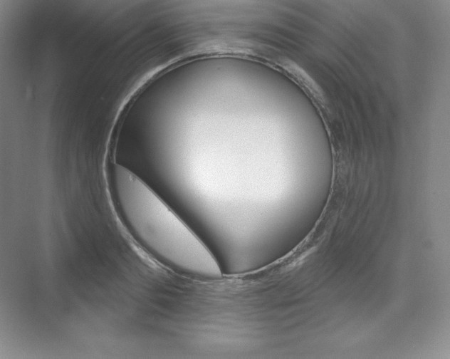 X0000073890893200608110907