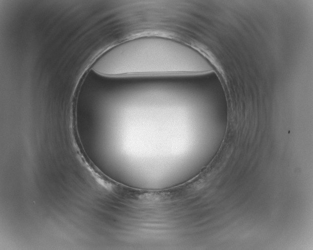 X0000073890898200608110906