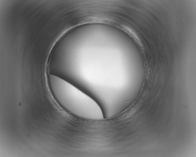 X0000073890899200608110906