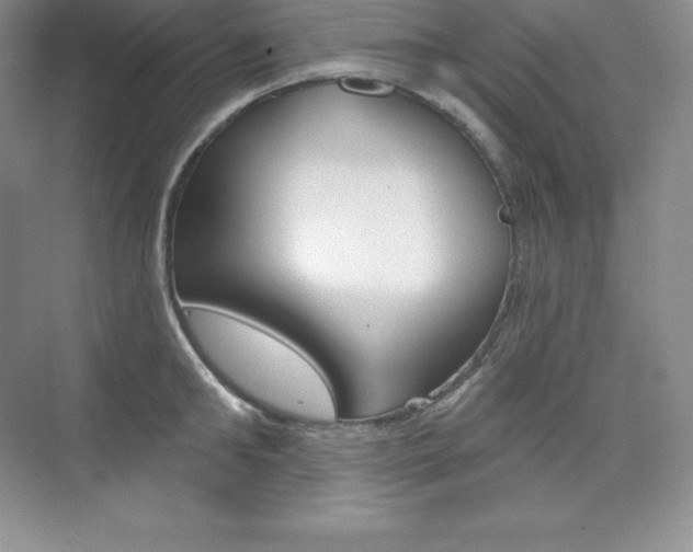 X0000073890902200608110906