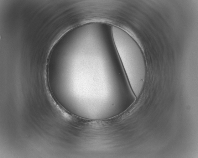 X0000073890906200608110906