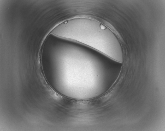 X0000073890908200608110906