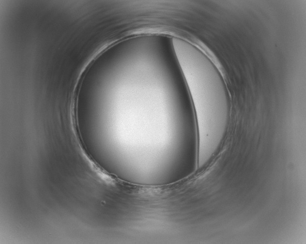 X0000073890909200608110906