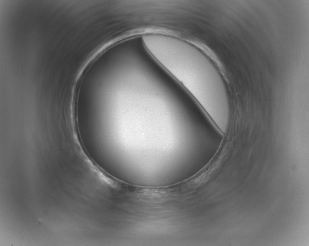 X0000073890910200608110906