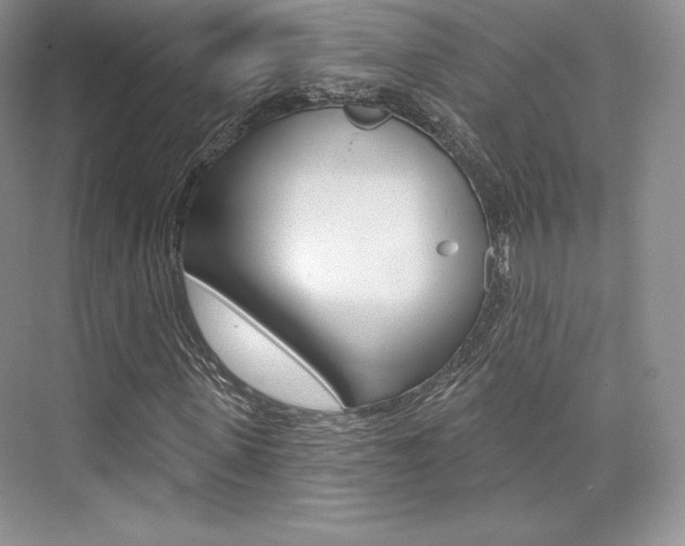 X0000073890915200608110905