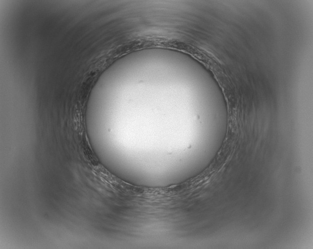 X0000073890917200608110906