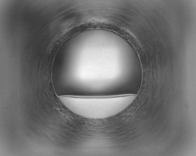 X0000073890919200608110906
